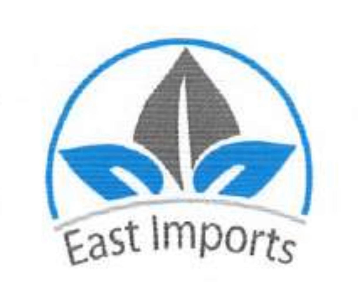 Logo 1